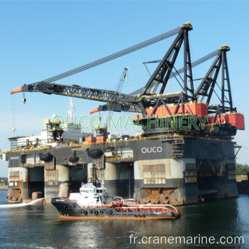 Grue à plate-forme offshore robuste de 60 tonnes